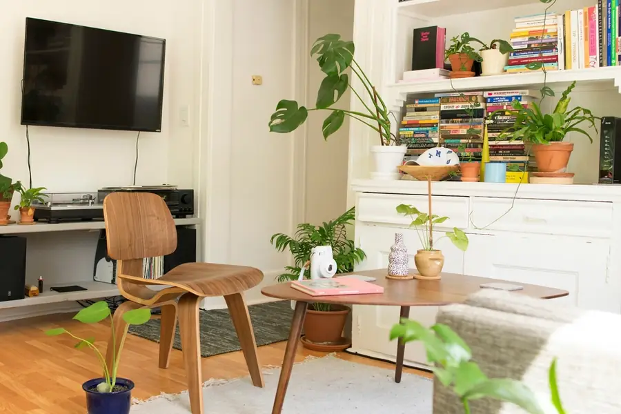 Sunny living room full of plants and books